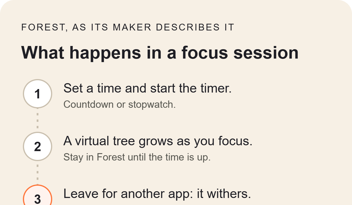 Diagram titled What happens in a focus session, showing the first steps of a Forest session.